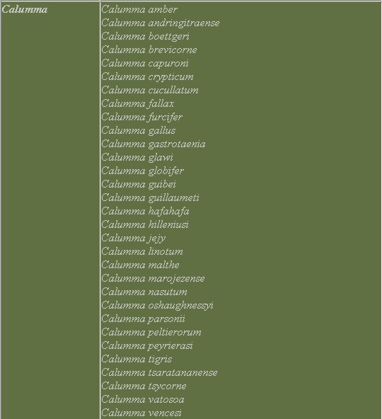 Chameleonai