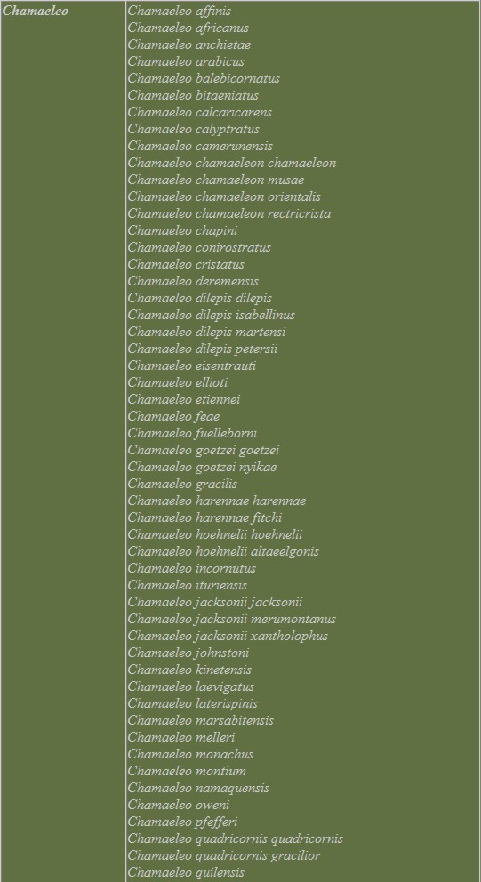 Chameleonai