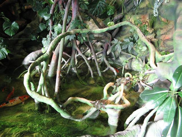 Daugpilio zoo