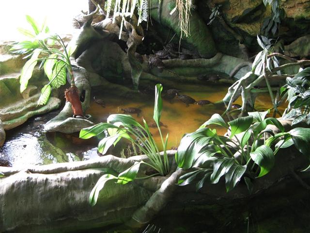 Daugpilio zoo