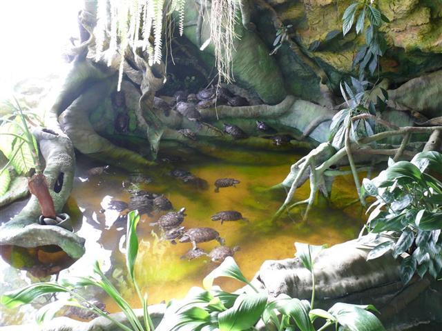 Daugpilio zoo