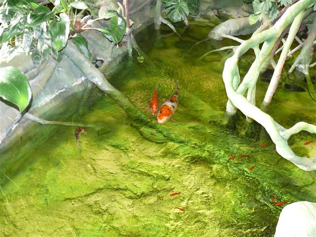 Daugpilio zoo