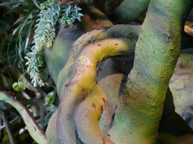 Daugpilio zoo