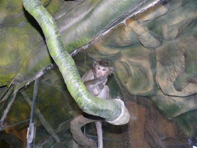 Daugpilio zoo