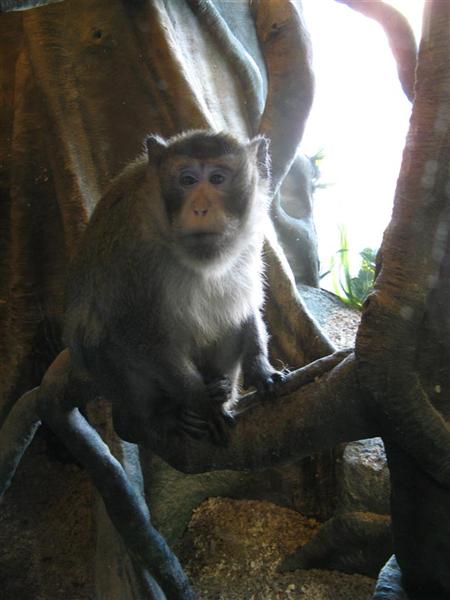 Daugpilio zoo