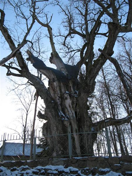 Daugpilio zoo