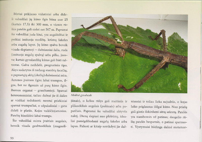 Knygos apie egztoninę pasaulio fauną