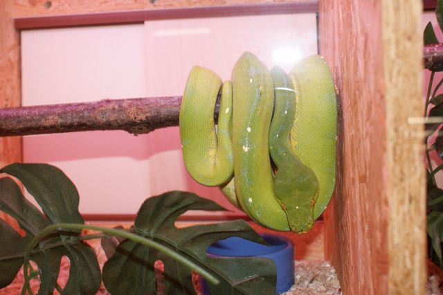 Hamm 2010