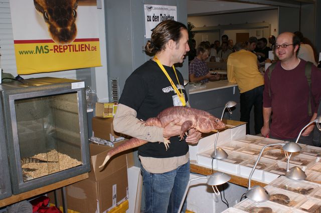 Hamm 2010