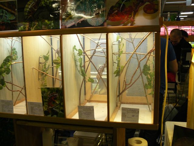 Hamm 2010
