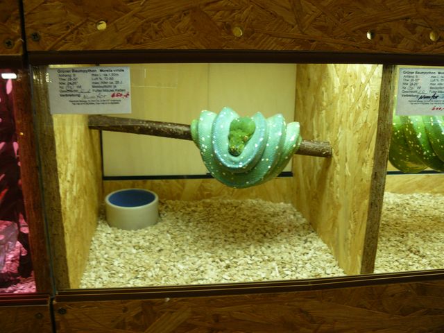 Hamm 2010