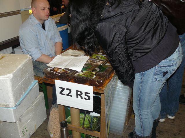 Hamm 2010