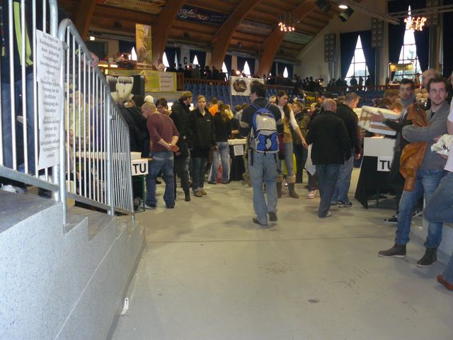Hamm 2010