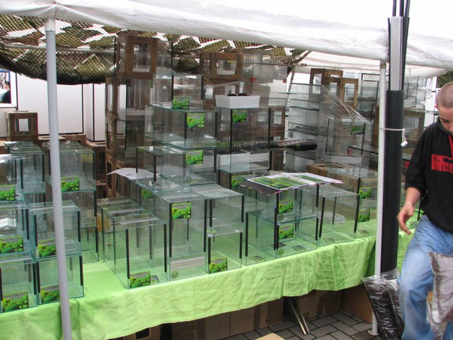 Hamm