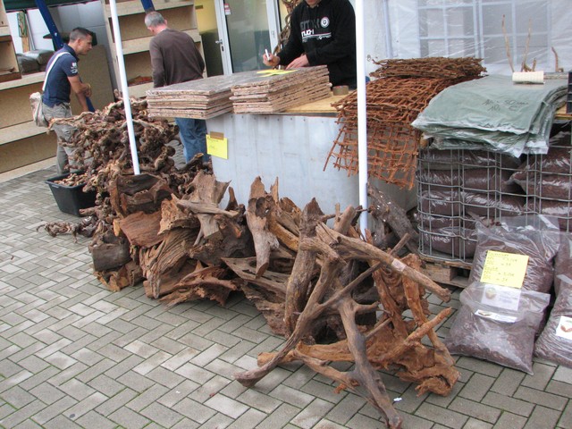 Hamm