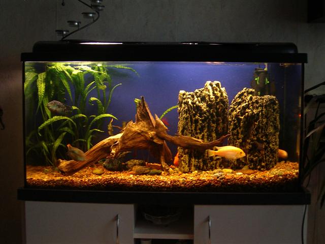 Akvariumas