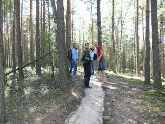 Tolyn