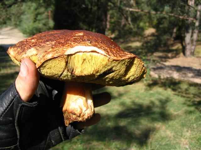 Meeto`o akimirkos