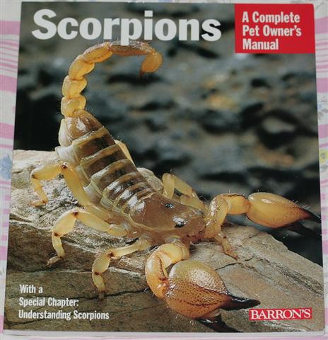 Scorpiones