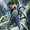 Vartotojo avataras