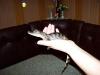 100_0569_t1.jpg