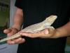 20121020_104721_t1.jpg