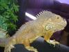 20130507031_t1.jpg