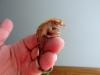 babygecko_t1.jpg