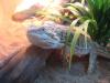 driezas_t1_1_2.jpg