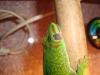 dsc00904_t1.jpg
