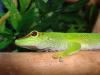 dsc01128_t1.jpg