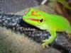 dsc01134_t1.jpg
