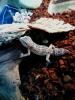 dsc01137_t1.jpg