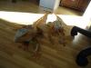 dsc02812_t1.jpg