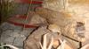 dsc06302_t1.jpg