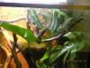 dscn0067_t1.jpg