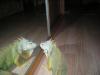 dscn3770_t1.jpg
