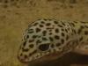 imgp2780_t1.jpg