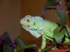 p1210547_t1.jpg