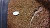 wp_20131227_001_t1.jpg