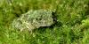 dsc_0725-1_t1.jpg