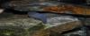 dsc_1584_t1.jpg