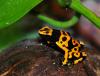 Spausk peržiūrai dsc_2240-001_t1.jpg