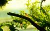 1-dsc_0106_t1.jpg