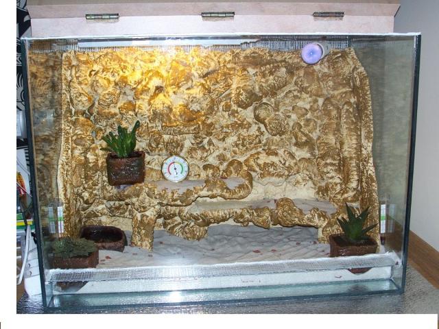 Sinaloae teras 2