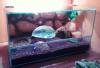 20101109160tais_t1.jpg