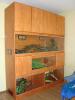 dsc02746_t1.jpg