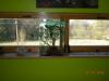 dscn0172_t1.jpg