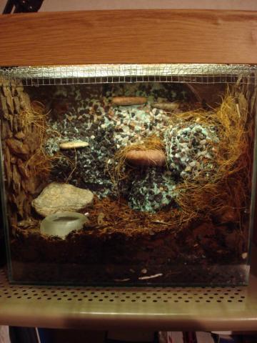 B. vaganiuko namai