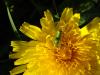 dsc01762_t1.jpg